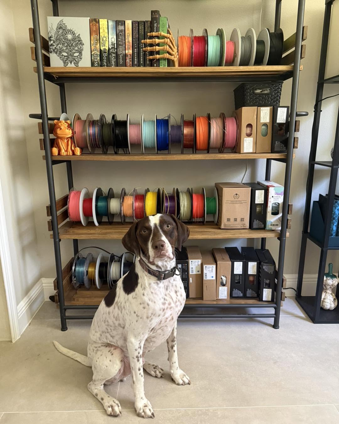 Meet Mav: The Four-Legged Supervisor Behind Busy Bee 3D 🐾🐝