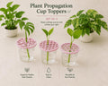 Plant Propagation Cup Toppers