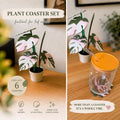 Plant Coaster Set