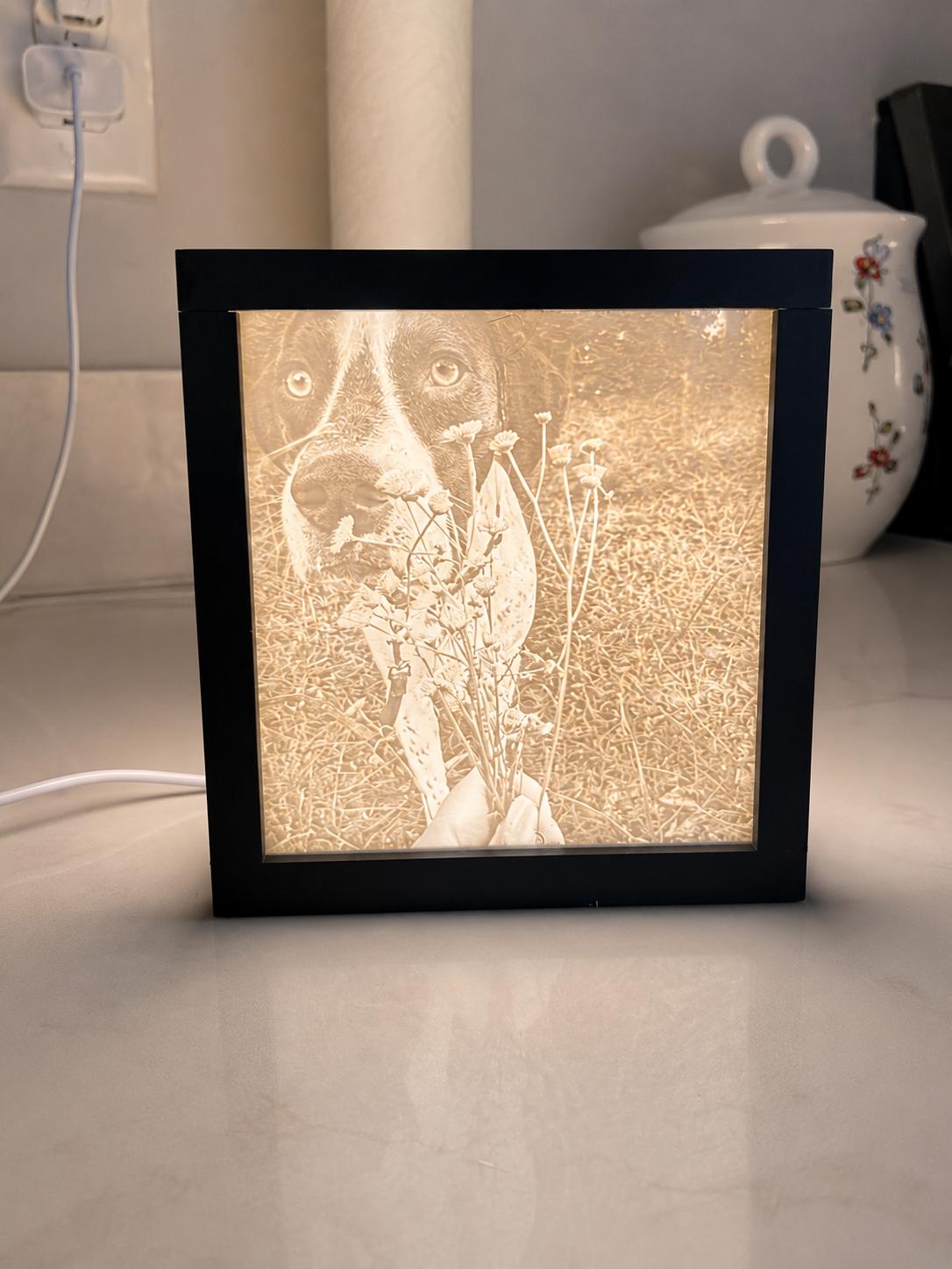 Custom Photo Cube w/ remote lighting