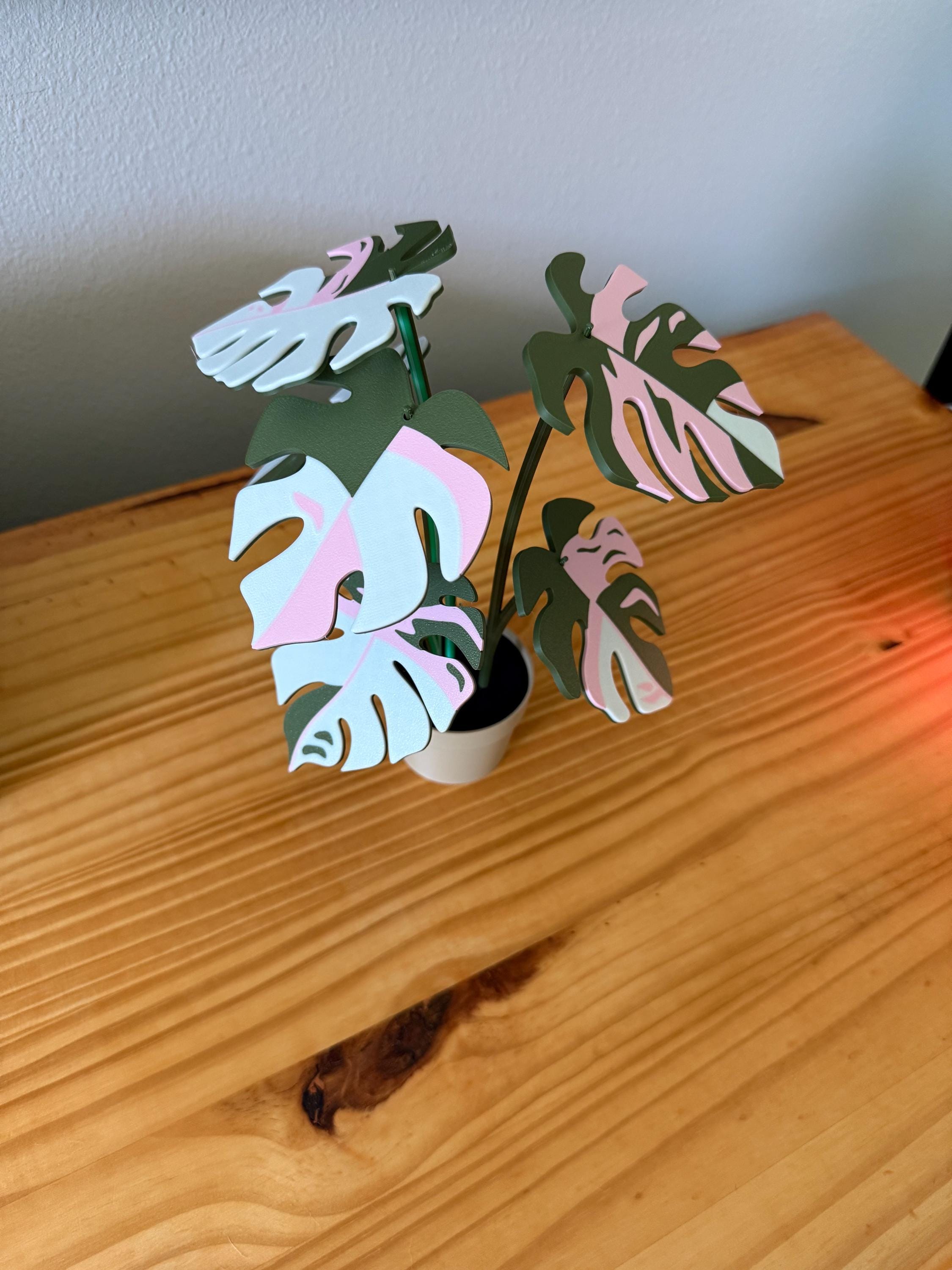 Plant Coaster Set