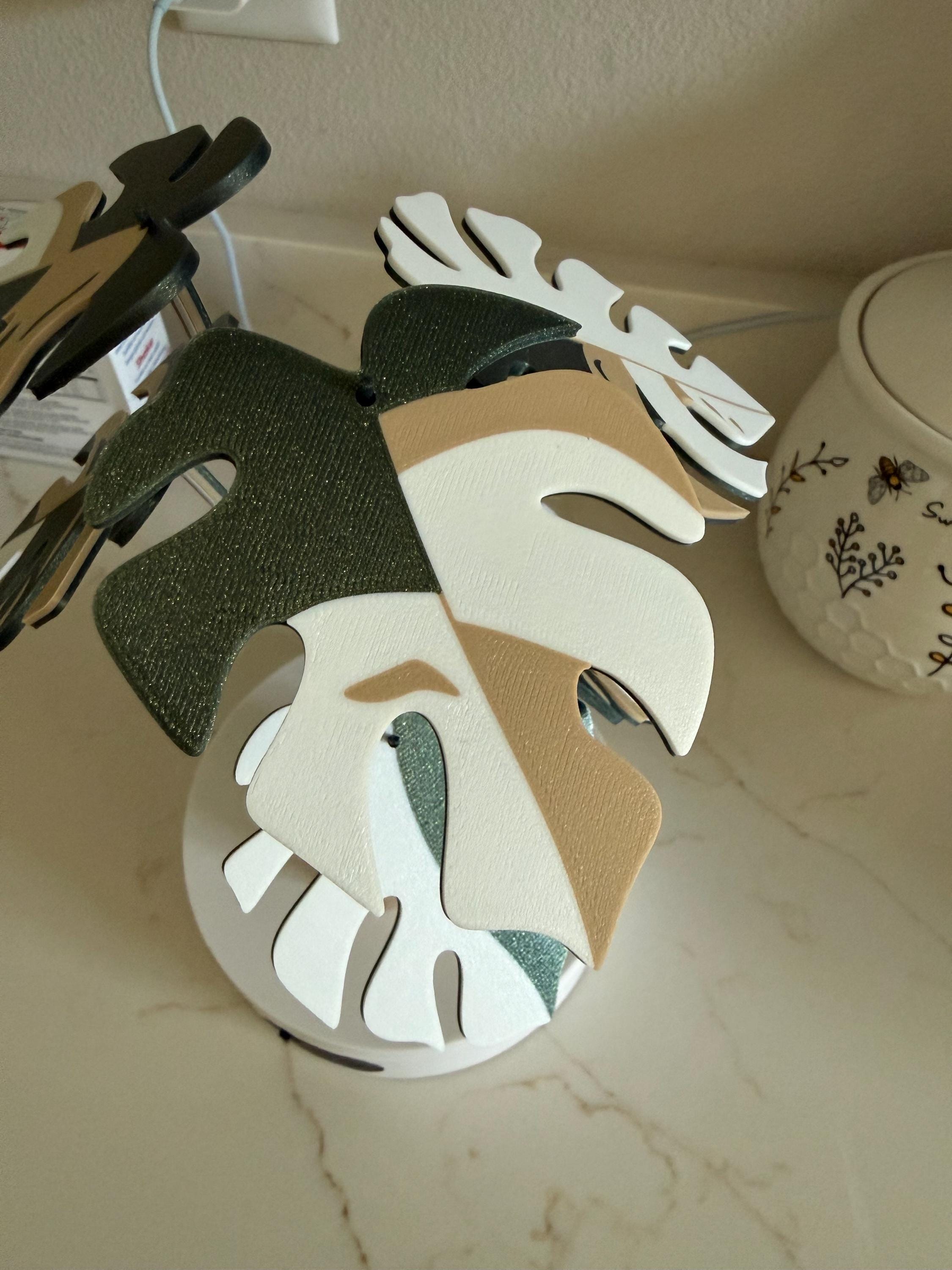 Plant Coaster Set