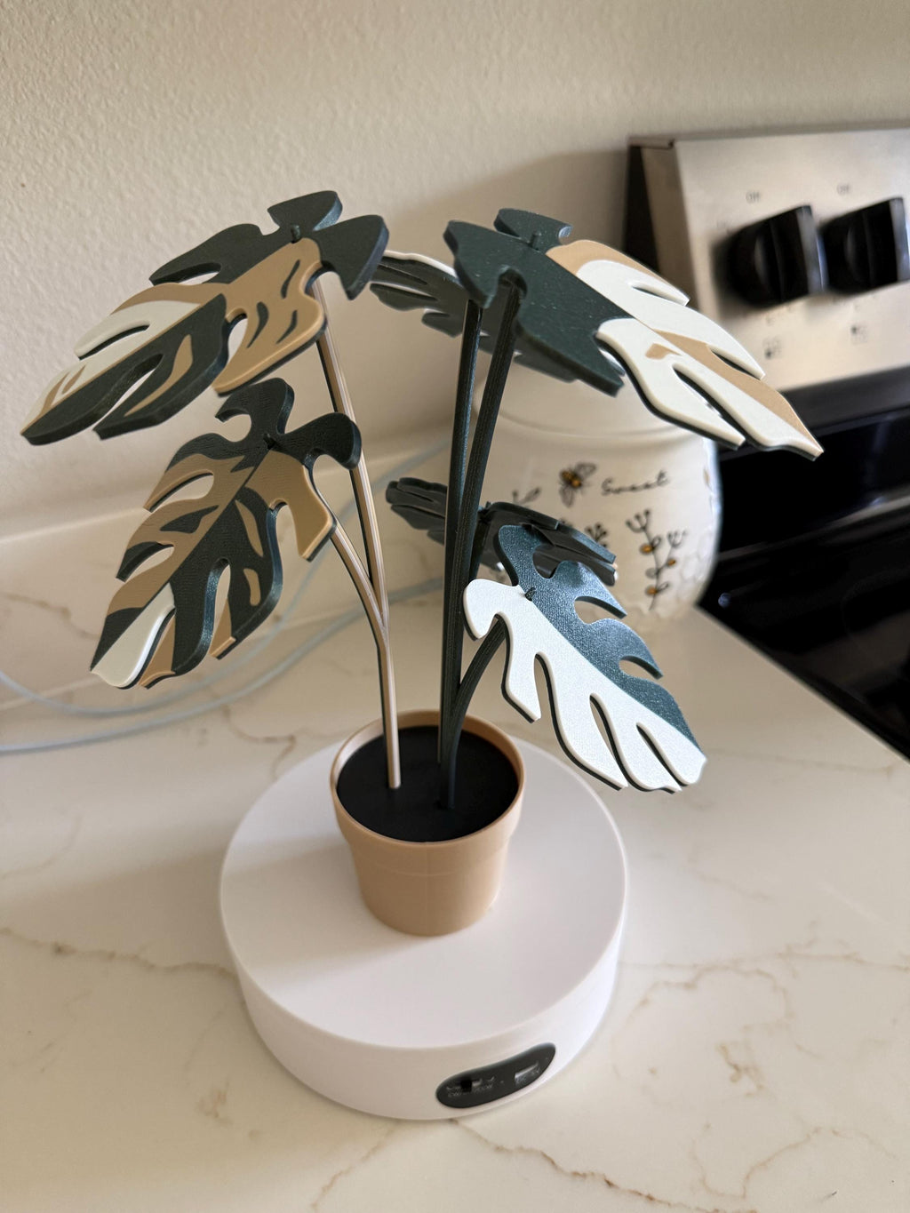 Plant Coaster Set
