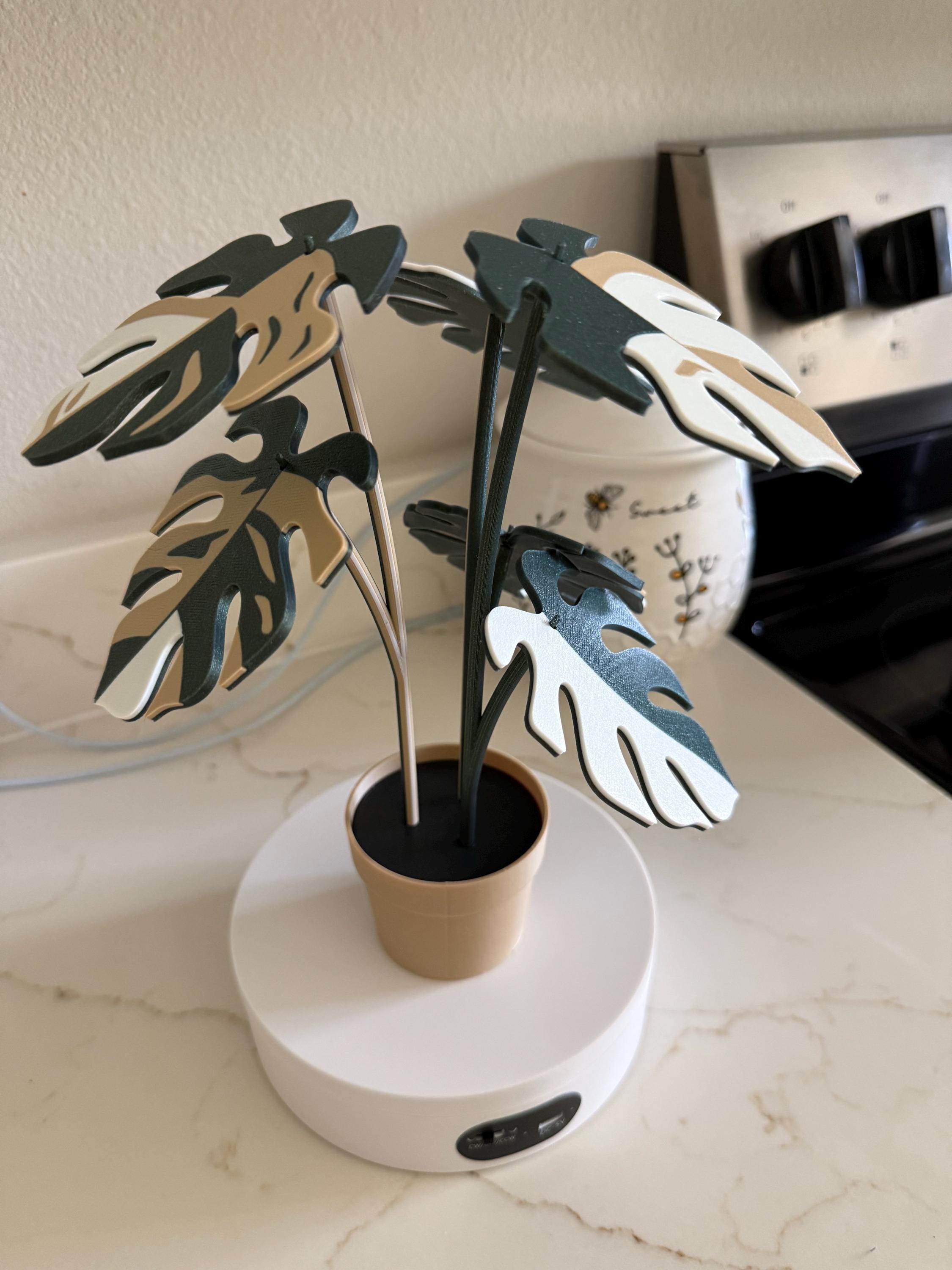 Plant Coaster Set