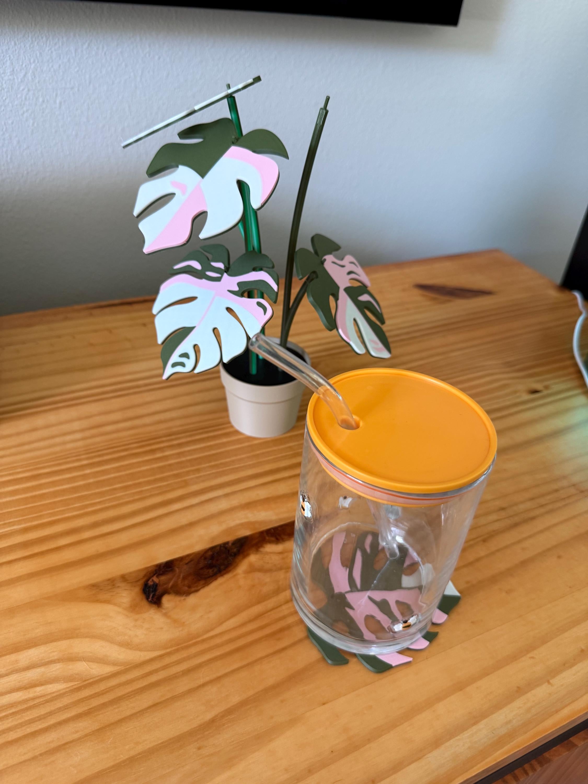 Plant Coaster Set