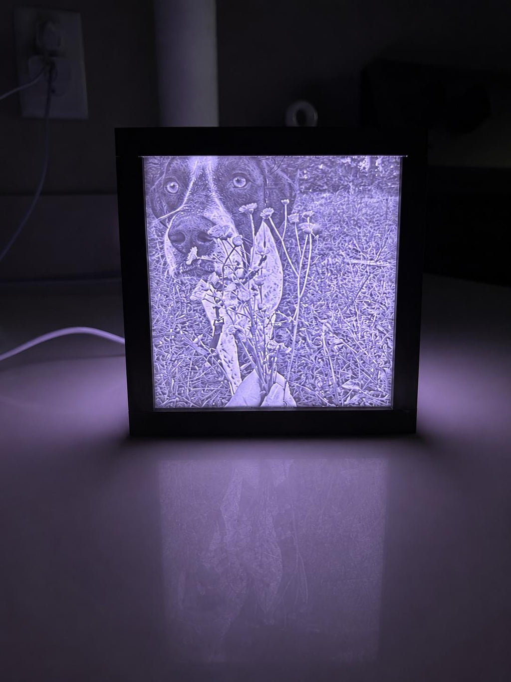 Custom Photo Cube w/ remote lighting