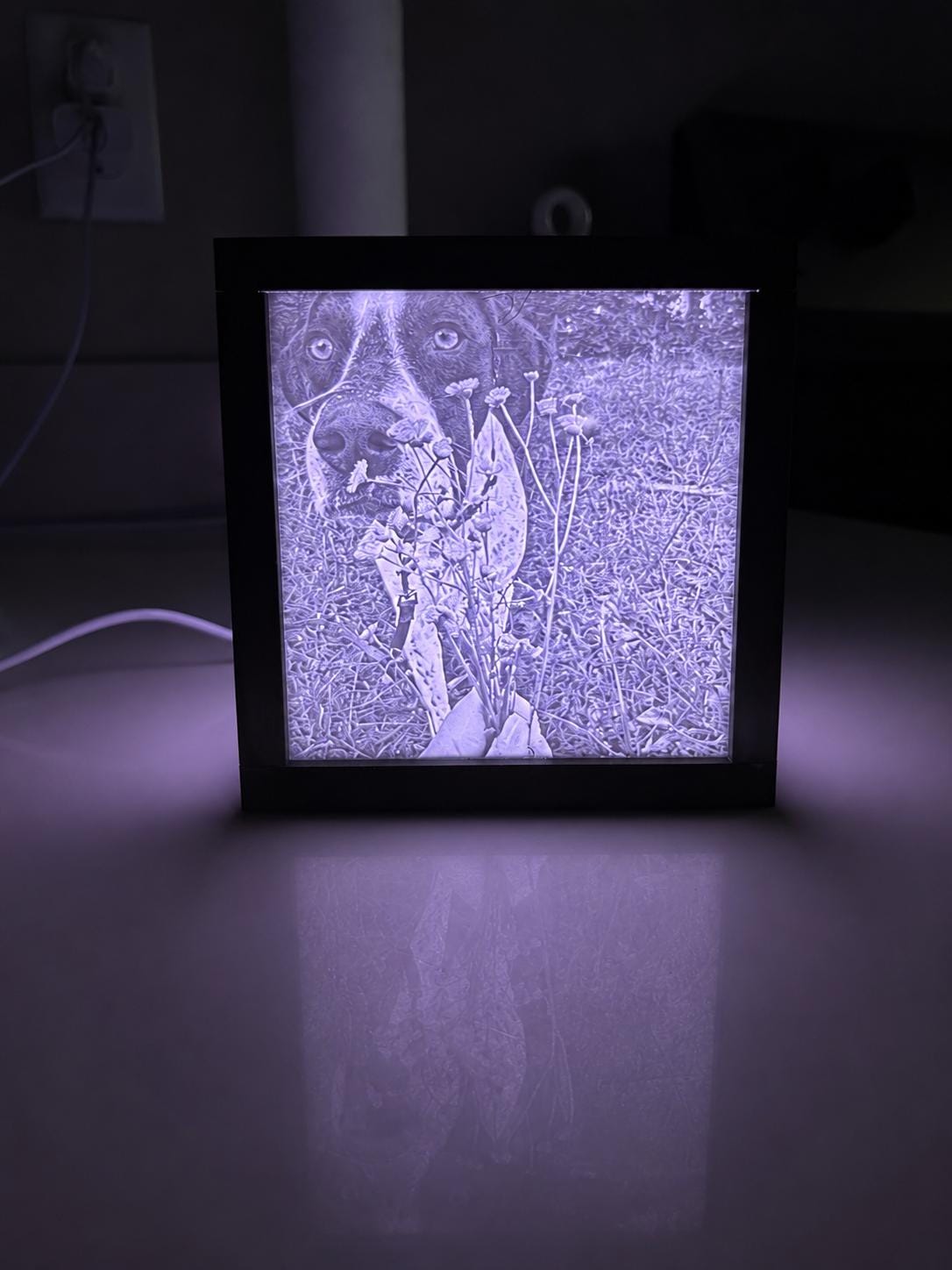 Custom Photo Cube w/ remote lighting