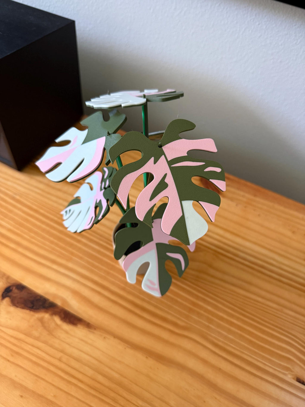 Plant Coaster Set