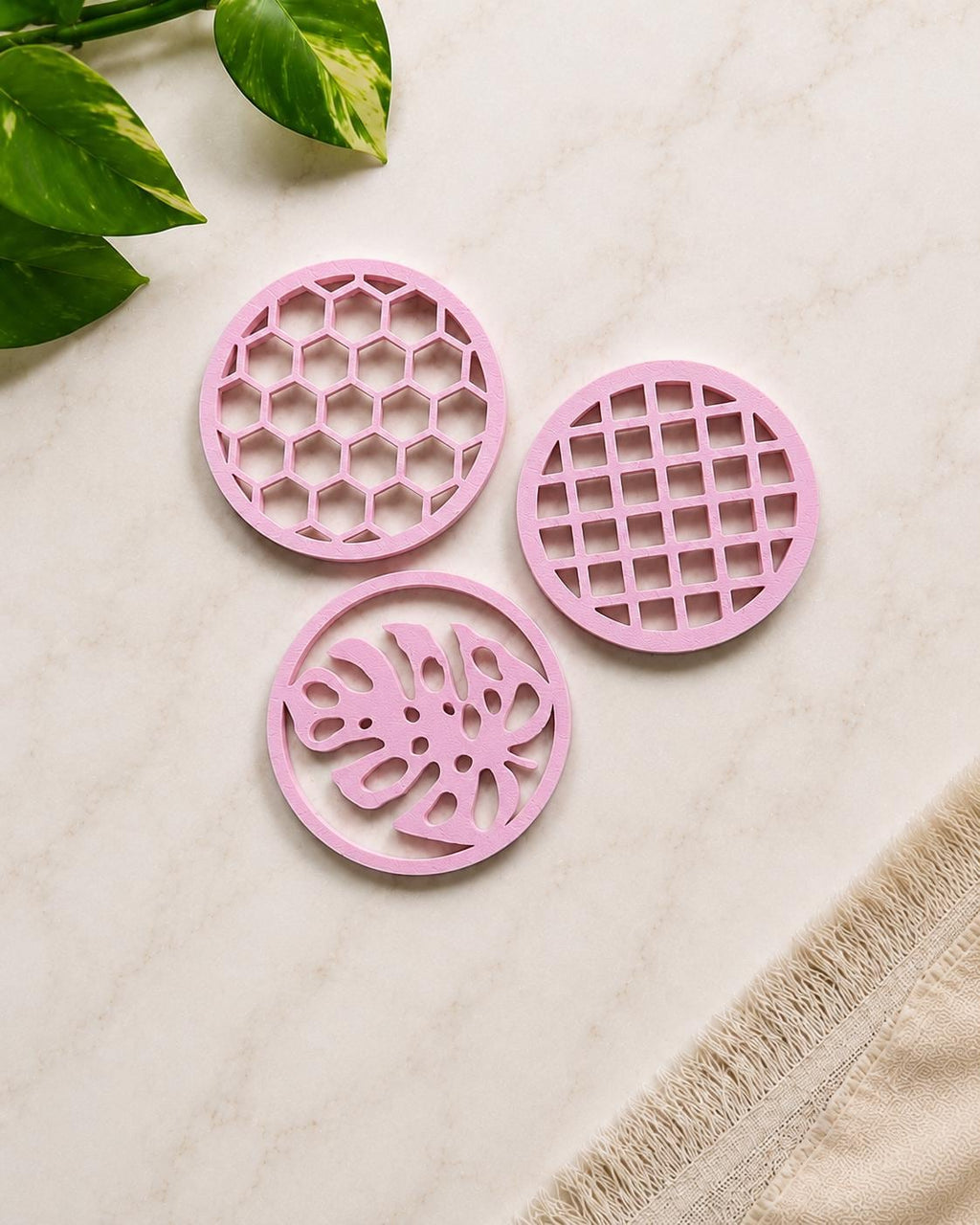 Plant Propagation Cup Toppers