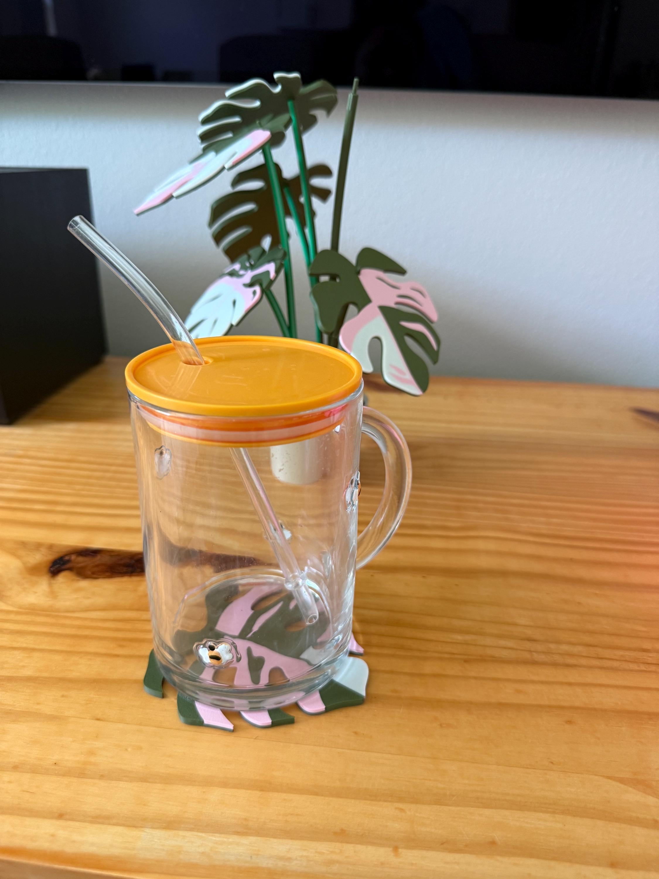 Plant Coaster Set